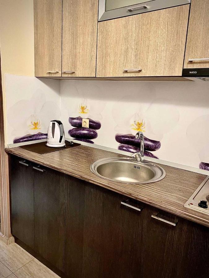 Cozy Apartment Saint Sofia Slăntjev Brjag Exteriör bild